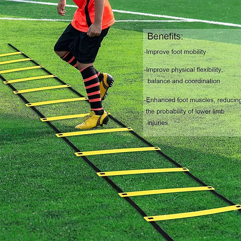 Professional Agility Training Ladder