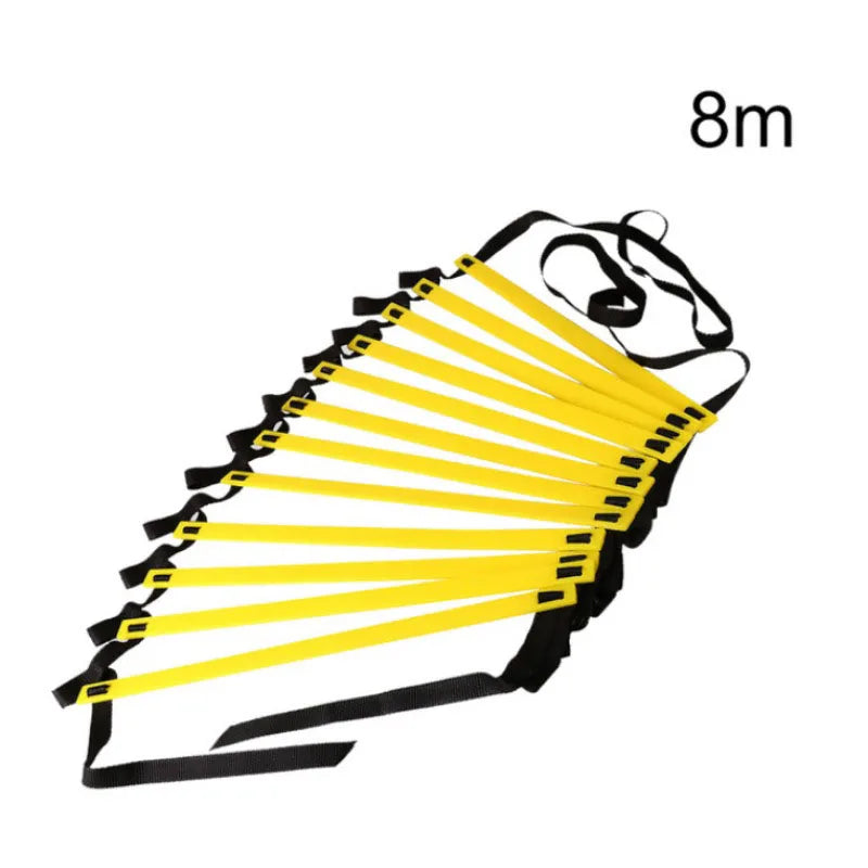 Professional Agility Training Ladder